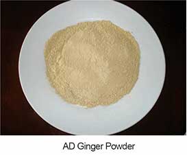 AD Ginger Power