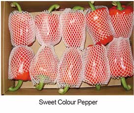 Sweet  Colour Pepper