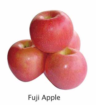 Fuji Apple